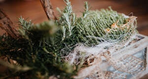 Heilpflanzen als 2. Element der Naturheilkunde nach Kneipp Heilpflanzen als 2. Element der Naturheilkunde nach Kneipp